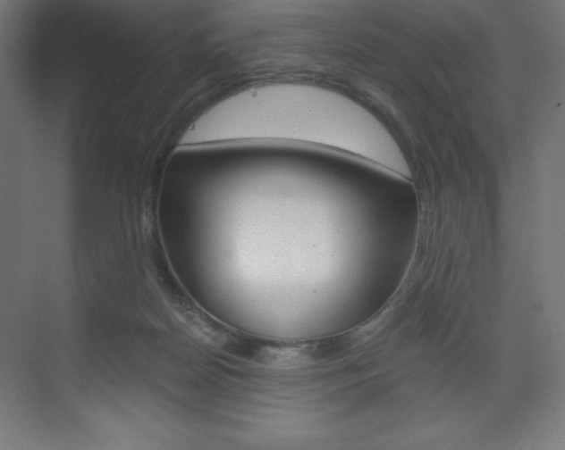 X0000073430170200607281014