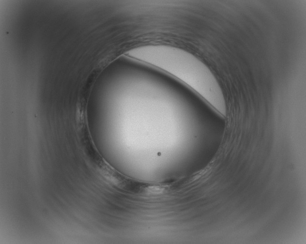 X0000073430176200607281014