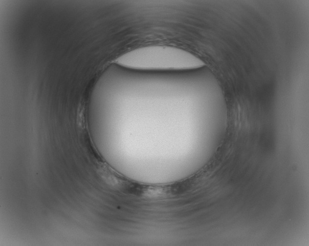X0000073430177200607281014