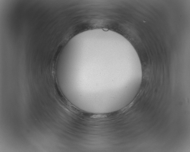 X0000073430179200607281015