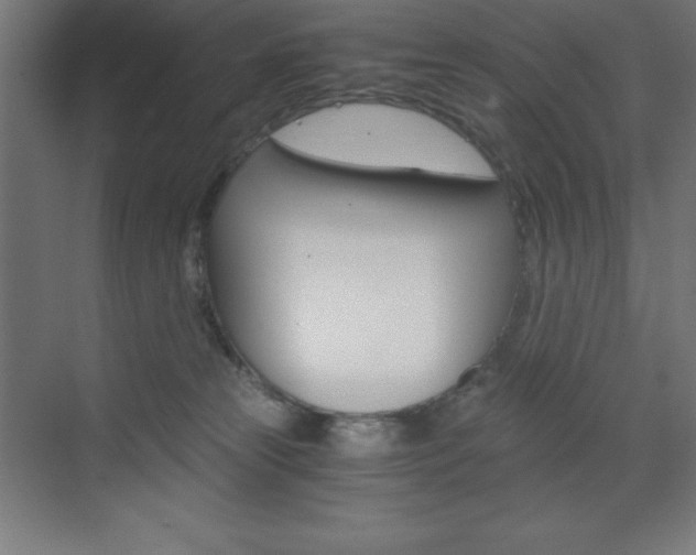 X0000073430181200607281015