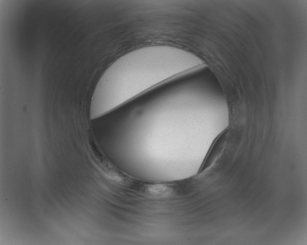 X0000073430183200607281015