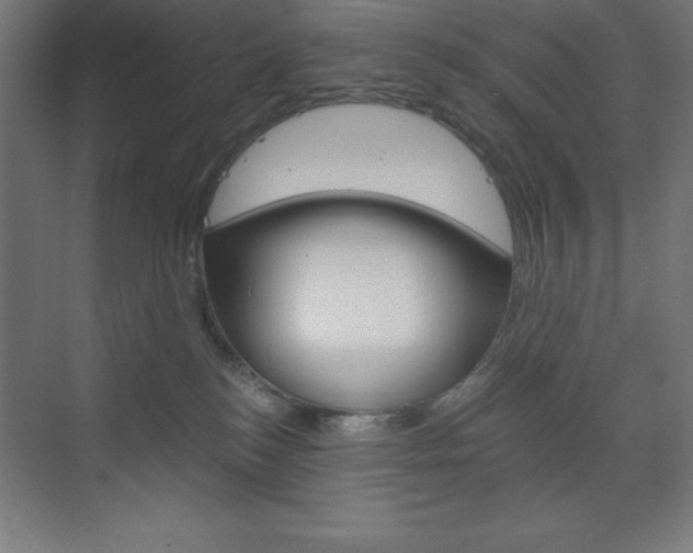X0000073430184200607281015