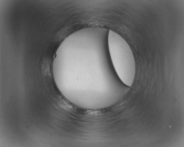 X0000073430185200607281015