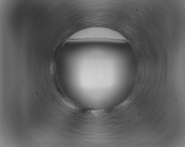 X0000073430188200607281015