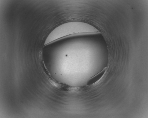 X0000073430192200607281015