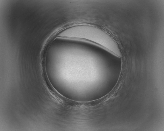 X0000073430197200607281014