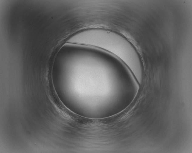 X0000073430201200607281014