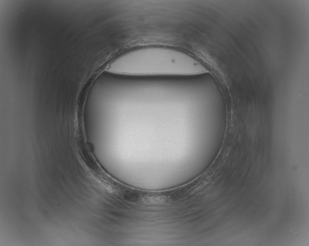 X0000073430202200607281014
