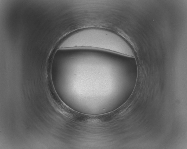 X0000073430203200607281014