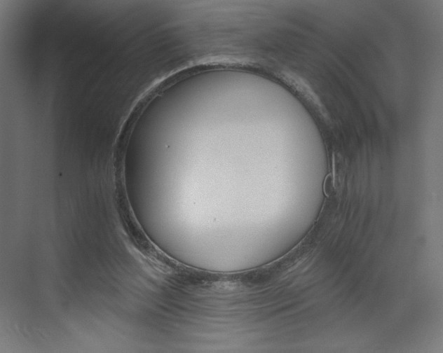 X0000073430204200607281014