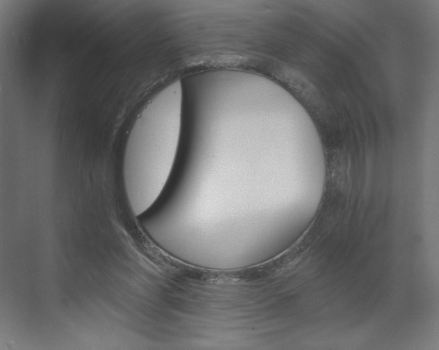 X0000073430206200607281014