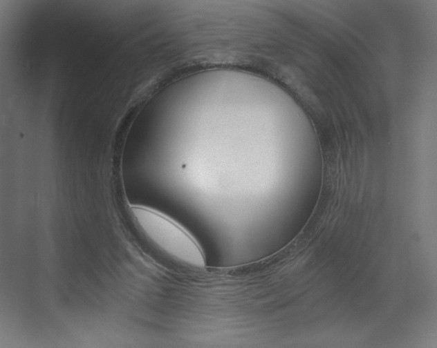 X0000073430207200607281014