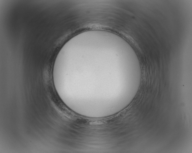 X0000073430208200607281014
