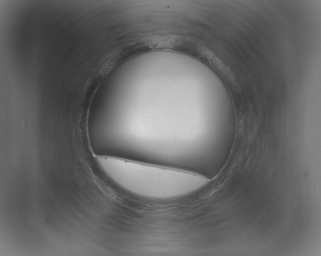 X0000073430209200607281014