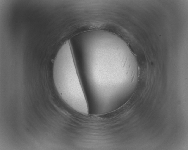 X0000073430215200607281014