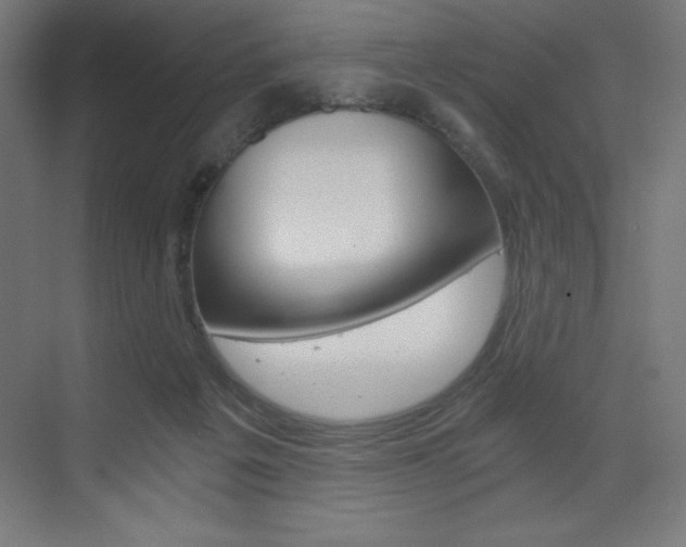 X0000073430217200607281013