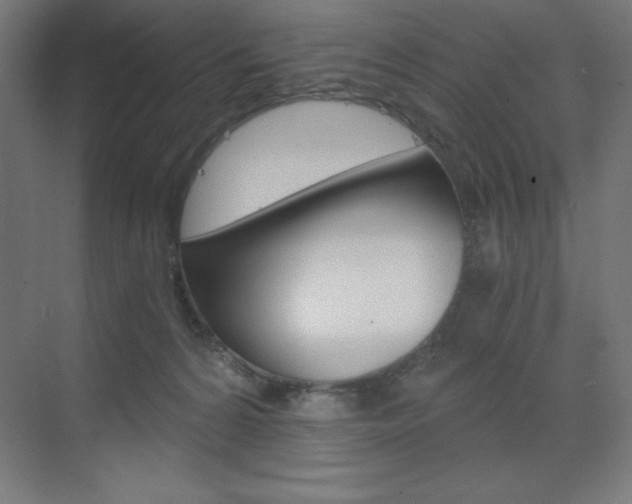 X0000073430224200607281013