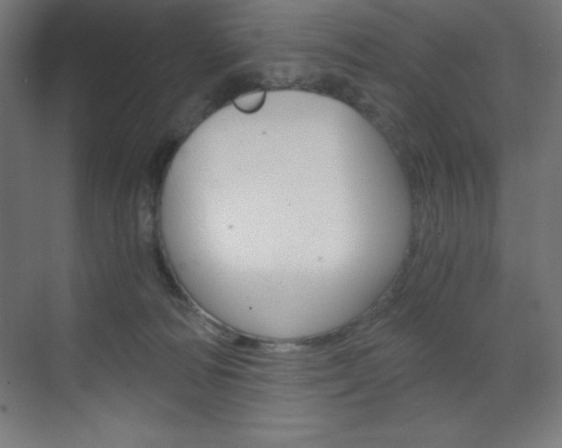 X0000073430226200607281013