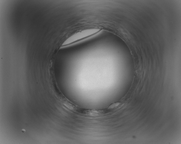 X0000073430229200607281013