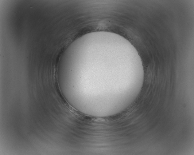 X0000073430230200607281013