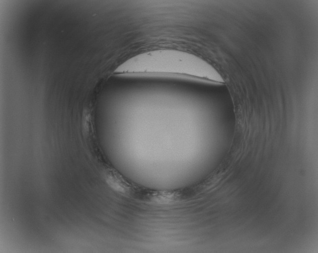 X0000073430235200607281013