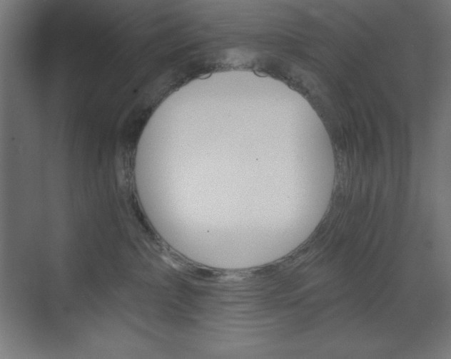 X0000073430236200607281013