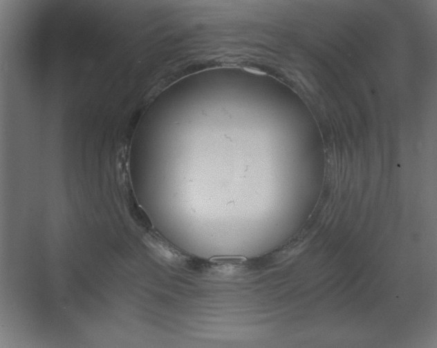 X0000073430237200607281013