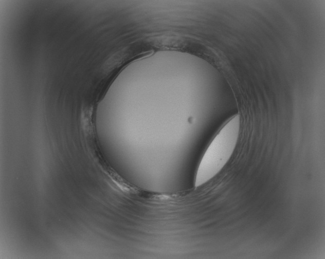 X0000073430239200607281013