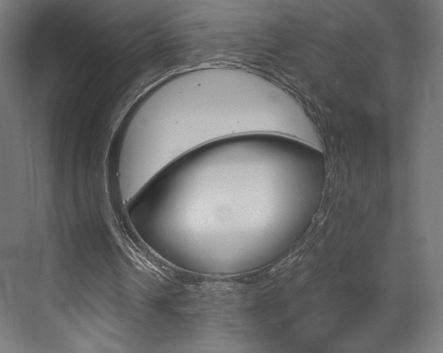 X0000073430242200607281012