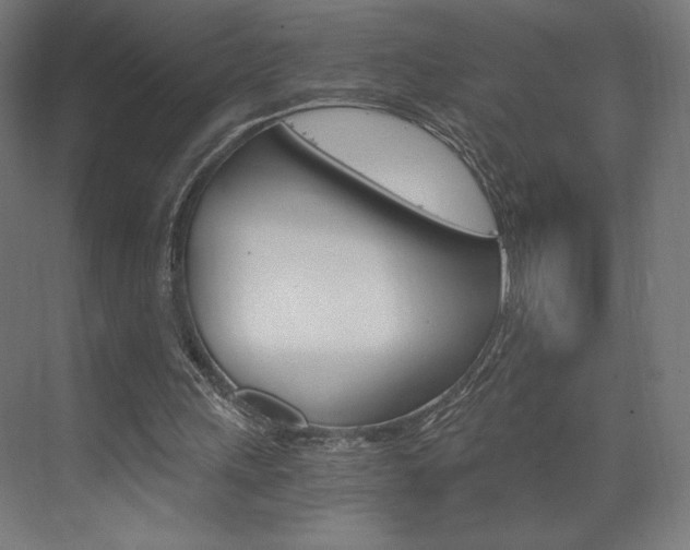 X0000073430243200607281012