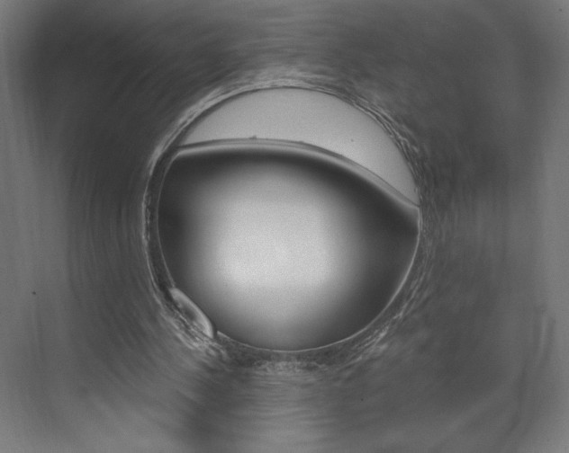 X0000073430244200607281012