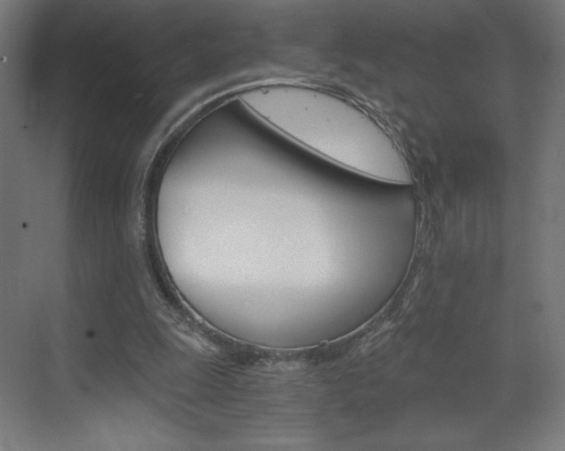 X0000073430247200607281012