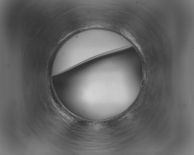 X0000073430249200607281012
