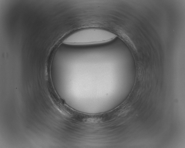 X0000073430251200607281012