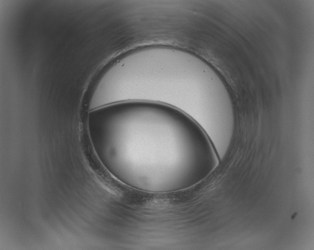 X0000073430252200607281012