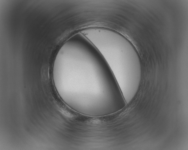 X0000073430253200607281013