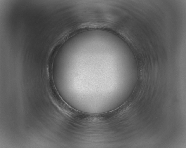 X0000073430254200607281013