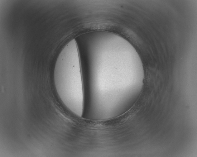 X0000073430258200607281013