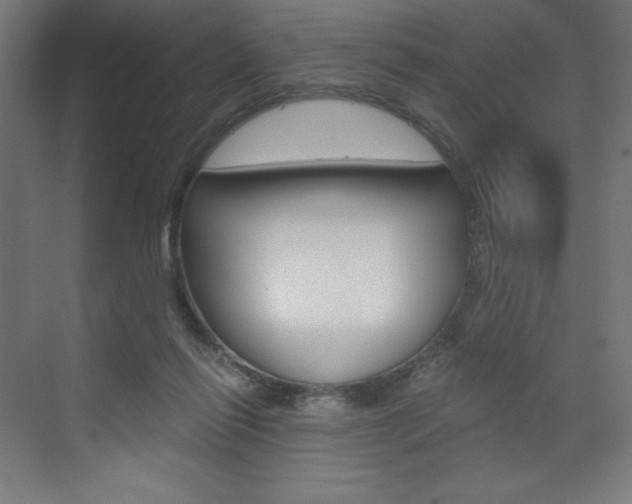 X0000073430262200607281013