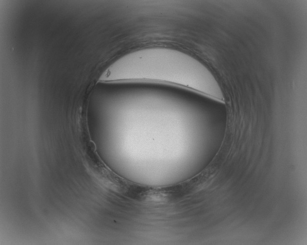 X0000073430263200607281013