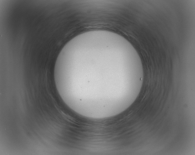 X0000073430264200607281013