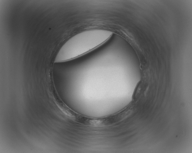 X0000073430265200607281013