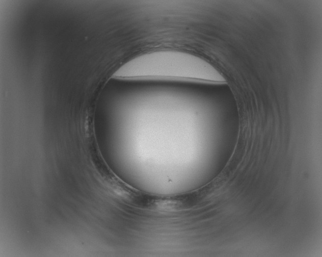 X0000073430268200607281013
