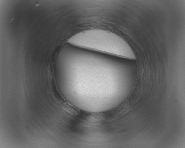 X0000073430270200607281013