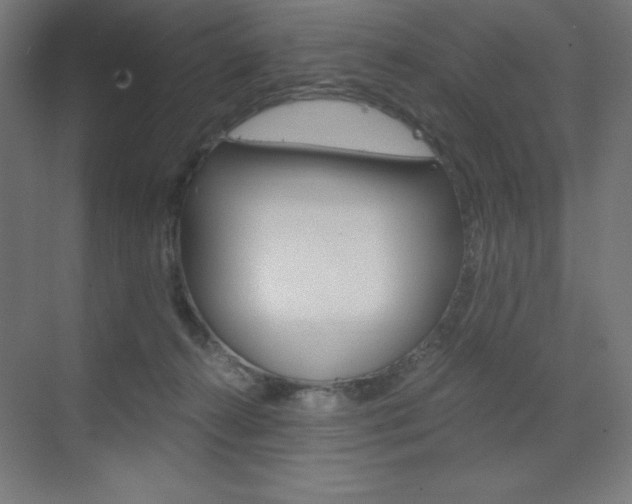 X0000073430272200607281013