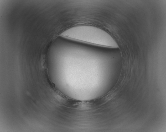 X0000073430273200607281013