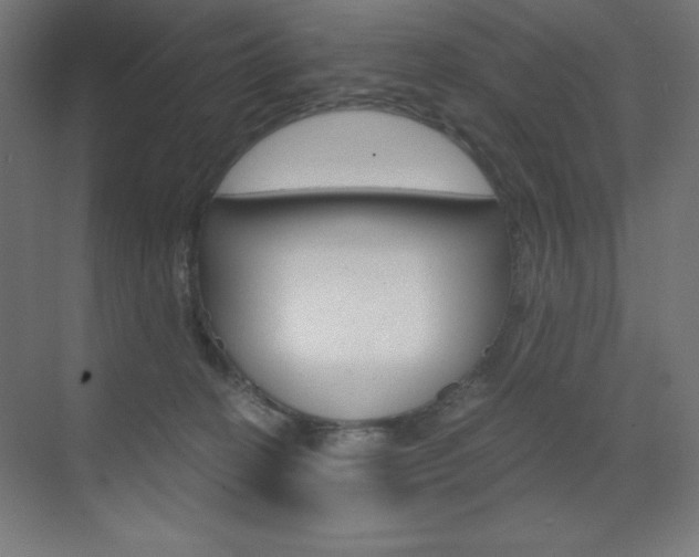 X0000073430274200607281013