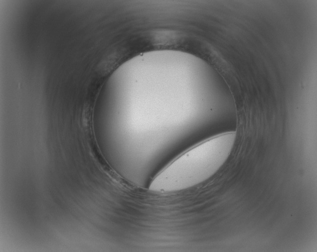 X0000073430277200607281013