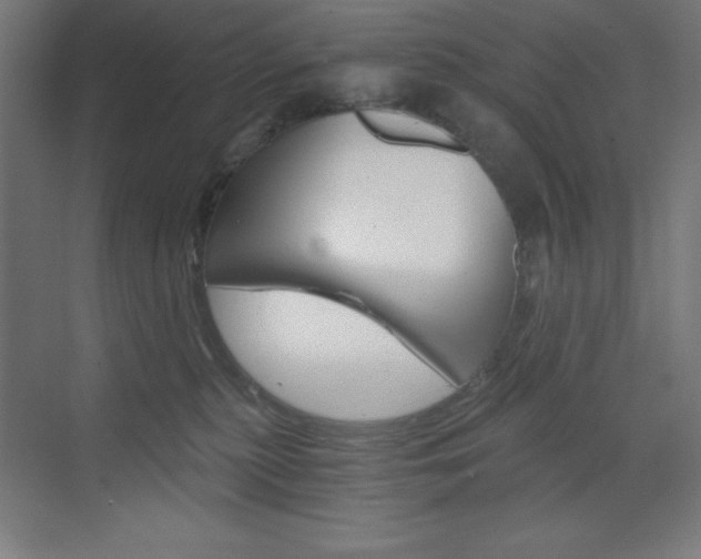 X0000073430279200607281013